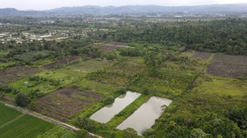 Pengolahan Lahan Baru/Land Clearing