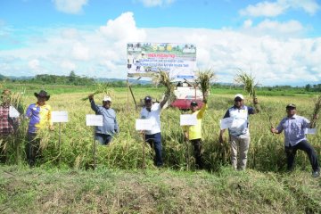Panen Padi Perdana,  mendukung Program Strategi Nasional (PSN) Cetak Sawah Rakyat di Kota Jayapura.